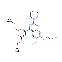 COc1cc2c(-c3cc(OCC4CC4)cc(OCC4CC4)c3)nc(N3CCOCC3)nc2cc1OCCO ZINC000026724033