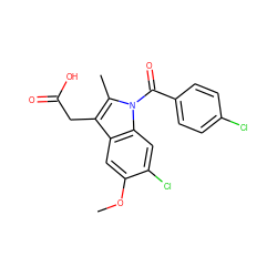 COc1cc2c(CC(=O)O)c(C)n(C(=O)c3ccc(Cl)cc3)c2cc1Cl ZINC000006733489