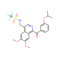 COc1cc2c(CNS(=O)(=O)C(F)(F)F)cnc(C(=O)c3cccc(OC(C)C)c3)c2cc1OC ZINC000072318097