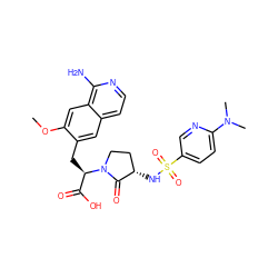 COc1cc2c(N)nccc2cc1C[C@H](C(=O)O)N1CC[C@H](NS(=O)(=O)c2ccc(N(C)C)nc2)C1=O ZINC000142600414