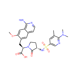 COc1cc2c(N)nccc2cc1C[C@H](C(=O)O)N1CC[C@H](NS(=O)(=O)c2cnc(N(C)C)c(C)c2)C1=O ZINC000142485781