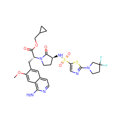 COc1cc2c(N)nccc2cc1C[C@H](C(=O)OCC1CC1)N1CC[C@H](NS(=O)(=O)c2cnc(N3CCC(F)(F)C3)s2)C1=O ZINC000208003153