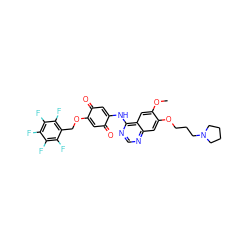 COc1cc2c(NC3=CC(=O)C(OCc4c(F)c(F)c(F)c(F)c4F)=CC3=O)ncnc2cc1OCCCN1CCCC1 ZINC000135800816