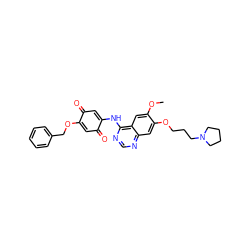 COc1cc2c(NC3=CC(=O)C(OCc4ccccc4)=CC3=O)ncnc2cc1OCCCN1CCCC1 ZINC000136262352