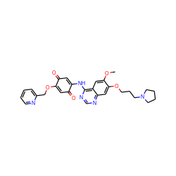 COc1cc2c(NC3=CC(=O)C(OCc4ccccn4)=CC3=O)ncnc2cc1OCCCN1CCCC1 ZINC000101133669