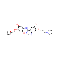 COc1cc2c(NC3=CC(=O)C(OCc4ccco4)=CC3=O)ncnc2cc1OCCCN1CCCC1 ZINC000101130660