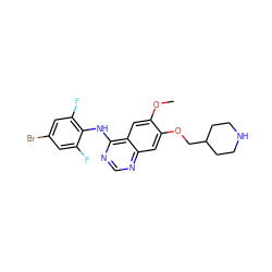 COc1cc2c(Nc3c(F)cc(Br)cc3F)ncnc2cc1OCC1CCNCC1 ZINC000013472796