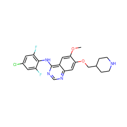 COc1cc2c(Nc3c(F)cc(Cl)cc3F)ncnc2cc1OCC1CCNCC1 ZINC000013472795