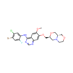 COc1cc2c(Nc3cc(Cl)c(Br)cc3F)ncnc2cc1OC[C@@H]1CN2CCOC[C@H]2CO1 ZINC000114820735