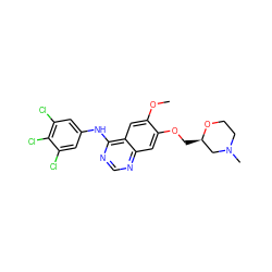 COc1cc2c(Nc3cc(Cl)c(Cl)c(Cl)c3)ncnc2cc1OC[C@@H]1CN(C)CCO1 ZINC000115599342