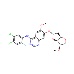 COc1cc2c(Nc3cc(Cl)c(Cl)cc3F)ncnc2cc1O[C@@H]1C[C@H]2OC[C@H](OC)[C@H]2O1 ZINC001772625946