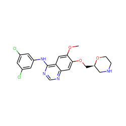 COc1cc2c(Nc3cc(Cl)cc(Cl)c3)ncnc2cc1OC[C@@H]1CNCCO1 ZINC000299825992