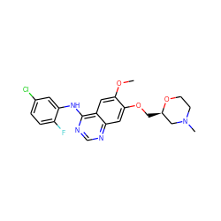 COc1cc2c(Nc3cc(Cl)ccc3F)ncnc2cc1OC[C@@H]1CN(C)CCO1 ZINC000115599335