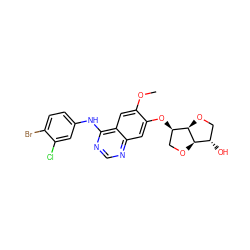 COc1cc2c(Nc3ccc(Br)c(Cl)c3)ncnc2cc1O[C@@H]1CO[C@@H]2[C@@H](O)CO[C@H]12 ZINC000150040852