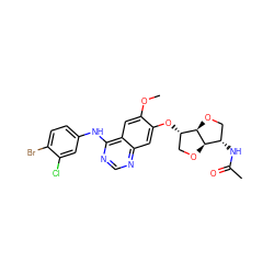 COc1cc2c(Nc3ccc(Br)c(Cl)c3)ncnc2cc1O[C@H]1CO[C@@H]2[C@@H](NC(C)=O)CO[C@H]12 ZINC000117121904