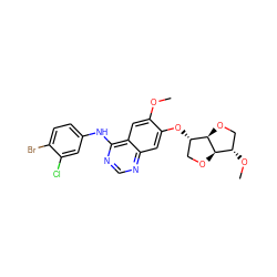 COc1cc2c(Nc3ccc(Br)c(Cl)c3)ncnc2cc1O[C@H]1CO[C@@H]2[C@@H](OC)CO[C@H]12 ZINC000114820594