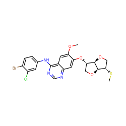 COc1cc2c(Nc3ccc(Br)c(Cl)c3)ncnc2cc1O[C@H]1CO[C@@H]2[C@@H](SC)CO[C@H]12 ZINC000117127616