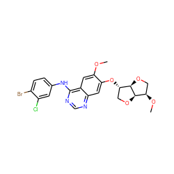 COc1cc2c(Nc3ccc(Br)c(Cl)c3)ncnc2cc1O[C@H]1CO[C@@H]2[C@H](OC)CO[C@H]12 ZINC000114820653