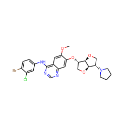 COc1cc2c(Nc3ccc(Br)c(Cl)c3)ncnc2cc1O[C@H]1CO[C@H]2[C@@H]1OC[C@@H]2N1CCCC1 ZINC000117131237