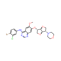 COc1cc2c(Nc3ccc(Br)c(Cl)c3)ncnc2cc1O[C@H]1CO[C@H]2[C@@H]1OC[C@@H]2N1CCOCC1 ZINC000117121185