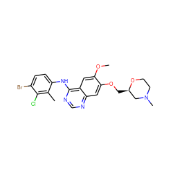 COc1cc2c(Nc3ccc(Br)c(Cl)c3C)ncnc2cc1OC[C@@H]1CN(C)CCO1 ZINC000114821767