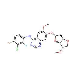 COc1cc2c(Nc3ccc(Br)c(Cl)c3F)ncnc2cc1O[C@@H]1C[C@H]2OC[C@H](OC)[C@H]2O1 ZINC001772605825