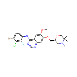 COc1cc2c(Nc3ccc(Br)c(Cl)c3F)ncnc2cc1OC[C@@H]1CN(C)C(C)(C)CO1 ZINC000114821743