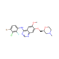 COc1cc2c(Nc3ccc(Br)c(Cl)c3F)ncnc2cc1OC[C@@H]1CN(C)CCO1 ZINC000114821791