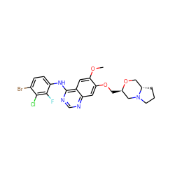 COc1cc2c(Nc3ccc(Br)c(Cl)c3F)ncnc2cc1OC[C@@H]1CN2CCC[C@H]2CO1 ZINC000115599029