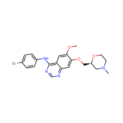 COc1cc2c(Nc3ccc(Br)cc3)ncnc2cc1OC[C@@H]1CN(C)CCO1 ZINC000299826029