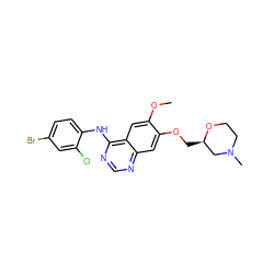 COc1cc2c(Nc3ccc(Br)cc3Cl)ncnc2cc1OC[C@@H]1CN(C)CCO1 ZINC000117125520