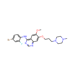 COc1cc2c(Nc3ccc(Br)cc3F)ncnc2cc1OCCCN1CCN(C)CC1 ZINC000022925294