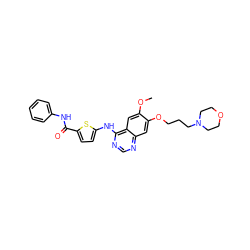 COc1cc2c(Nc3ccc(C(=O)Nc4ccccc4)s3)ncnc2cc1OCCCN1CCOCC1 ZINC000040420306