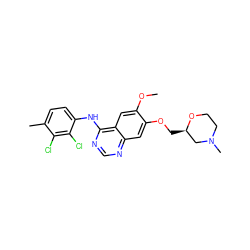 COc1cc2c(Nc3ccc(C)c(Cl)c3Cl)ncnc2cc1OC[C@@H]1CN(C)CCO1 ZINC000115597031