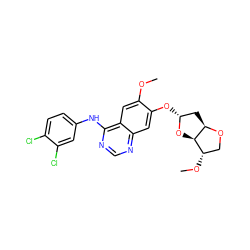 COc1cc2c(Nc3ccc(Cl)c(Cl)c3)ncnc2cc1O[C@@H]1C[C@H]2OC[C@H](OC)[C@H]2O1 ZINC001772632469