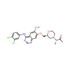 COc1cc2c(Nc3ccc(Cl)c(Cl)c3)ncnc2cc1OC[C@@H]1CN([C@@H](C)C(C)=O)CCO1 ZINC000115598896