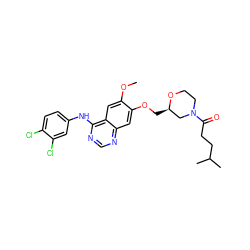 COc1cc2c(Nc3ccc(Cl)c(Cl)c3)ncnc2cc1OC[C@@H]1CN(C(=O)CCC(C)C)CCO1 ZINC000114821499