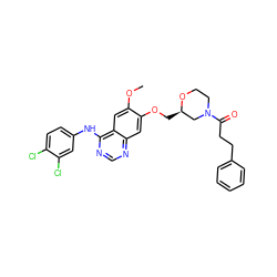 COc1cc2c(Nc3ccc(Cl)c(Cl)c3)ncnc2cc1OC[C@@H]1CN(C(=O)CCc2ccccc2)CCO1 ZINC000114821163