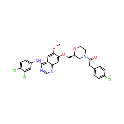 COc1cc2c(Nc3ccc(Cl)c(Cl)c3)ncnc2cc1OC[C@@H]1CN(C(=O)Cc2ccc(Cl)cc2)CCO1 ZINC000114821156