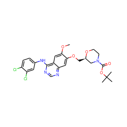 COc1cc2c(Nc3ccc(Cl)c(Cl)c3)ncnc2cc1OC[C@@H]1CN(C(=O)OC(C)(C)C)CCO1 ZINC000114820551