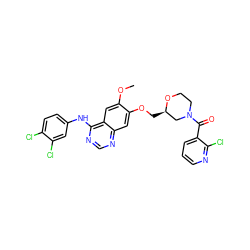 COc1cc2c(Nc3ccc(Cl)c(Cl)c3)ncnc2cc1OC[C@@H]1CN(C(=O)c2cccnc2Cl)CCO1 ZINC000114822546