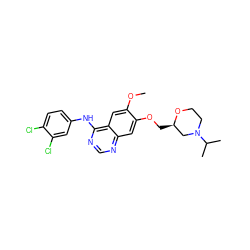 COc1cc2c(Nc3ccc(Cl)c(Cl)c3)ncnc2cc1OC[C@@H]1CN(C(C)C)CCO1 ZINC000115599045