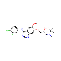 COc1cc2c(Nc3ccc(Cl)c(Cl)c3)ncnc2cc1OC[C@@H]1CN(C)C(C)(C)CO1 ZINC000114821289