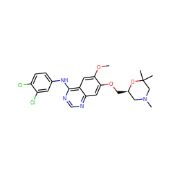 COc1cc2c(Nc3ccc(Cl)c(Cl)c3)ncnc2cc1OC[C@@H]1CN(C)CC(C)(C)O1 ZINC000114824323