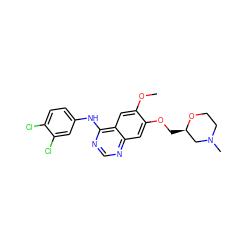 COc1cc2c(Nc3ccc(Cl)c(Cl)c3)ncnc2cc1OC[C@@H]1CN(C)CCO1 ZINC000008662767