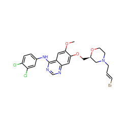 COc1cc2c(Nc3ccc(Cl)c(Cl)c3)ncnc2cc1OC[C@@H]1CN(C/C=C/Br)CCO1 ZINC000115599071