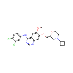 COc1cc2c(Nc3ccc(Cl)c(Cl)c3)ncnc2cc1OC[C@@H]1CN(C2CCC2)CCO1 ZINC000115598970