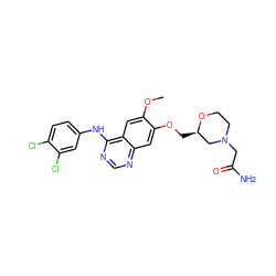 COc1cc2c(Nc3ccc(Cl)c(Cl)c3)ncnc2cc1OC[C@@H]1CN(CC(N)=O)CCO1 ZINC000114821554