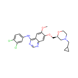 COc1cc2c(Nc3ccc(Cl)c(Cl)c3)ncnc2cc1OC[C@@H]1CN(CC2CC2)CCO1 ZINC000114821233