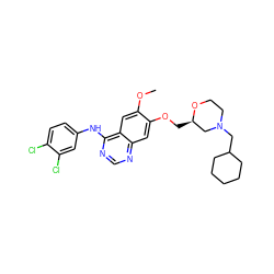 COc1cc2c(Nc3ccc(Cl)c(Cl)c3)ncnc2cc1OC[C@@H]1CN(CC2CCCCC2)CCO1 ZINC000114821627